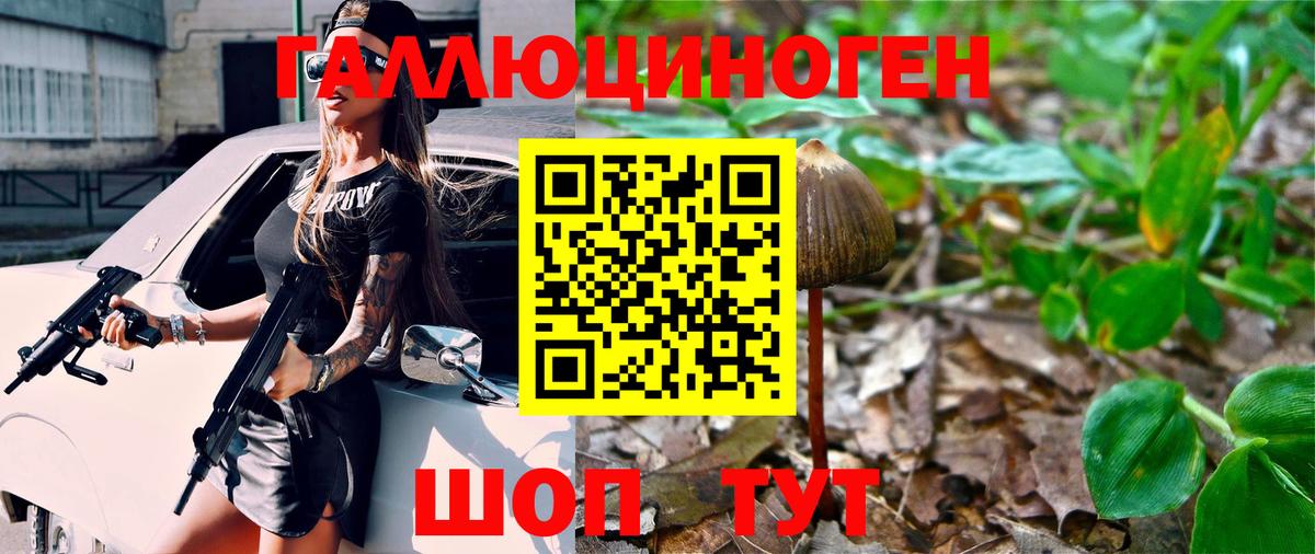 Псилоцибиновые грибы мицелий  Вход с VPN  Белореченск 